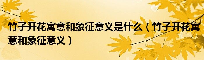 竹子開花寓意和象征意義是什么（竹子開花寓意和象征意義）