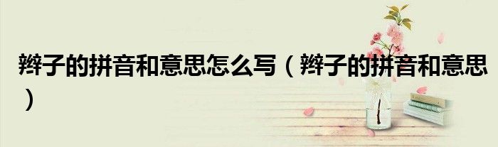 辮子的拼音和意思怎么寫（辮子的拼音和意思）
