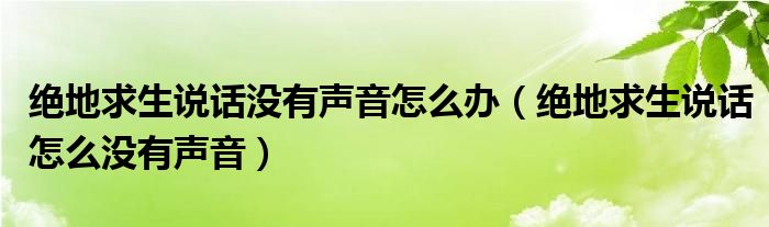 絕地求生說話沒有聲音怎么辦（絕地求生說話怎么沒有聲音）