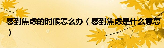 感到焦慮的時(shí)候怎么辦（感到焦慮是什么意思）