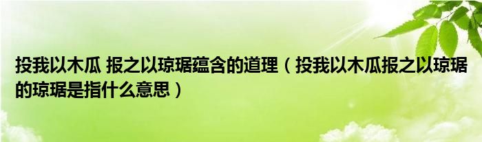 投我以木瓜 報(bào)之以瓊琚蘊(yùn)含的道理（投我以木瓜報(bào)之以瓊琚的瓊琚是指什么意思）