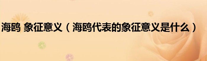 海鷗 象征意義（海鷗代表的象征意義是什么）