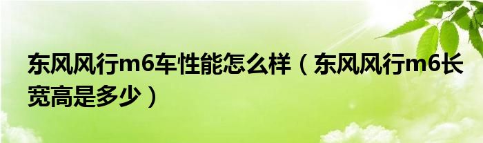東風(fēng)風(fēng)行m6車性能怎么樣（東風(fēng)風(fēng)行m6長寬高是多少）