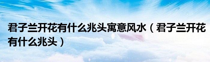 君子蘭開花有什么兆頭寓意風(fēng)水（君子蘭開花有什么兆頭）