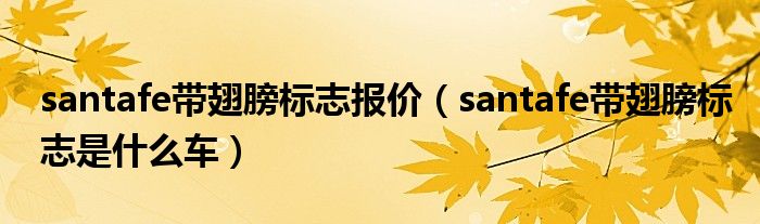 santafe帶翅膀標(biāo)志報(bào)價(jià)（santafe帶翅膀標(biāo)志是什么車）