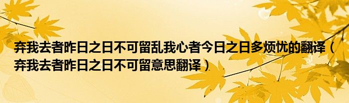 棄我去者昨日之日不可留亂我心者今日之日多煩憂的翻譯（棄我去者昨日之日不可留意思翻譯）