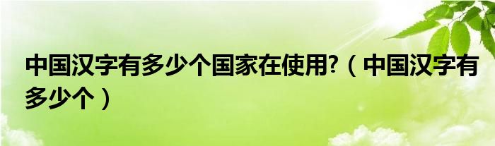 中國漢字有多少個國家在使用?（中國漢字有多少個）