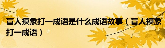 盲人摸象打一成語是什么成語故事（盲人摸象打一成語）