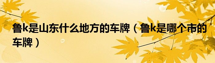 魯k是山東什么地方的車牌（魯k是哪個(gè)市的車牌）