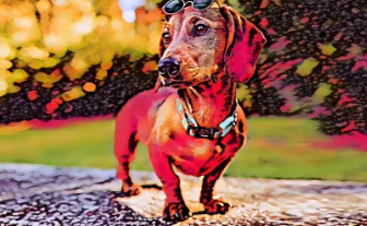 PhotoshopElements2024提供對(duì)AdobeAI技術(shù)的免訂閱訪問(wèn)