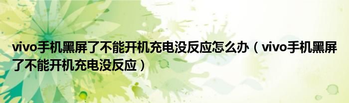 vivo手機(jī)黑屏了不能開機(jī)充電沒反應(yīng)怎么辦（vivo手機(jī)黑屏了不能開機(jī)充電沒反應(yīng)）