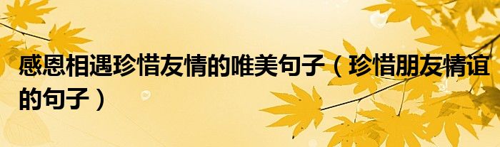 感恩相遇珍惜友情的唯美句子（珍惜朋友情誼的句子）
