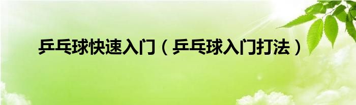 乒乓球快速入門（乒乓球入門打法）