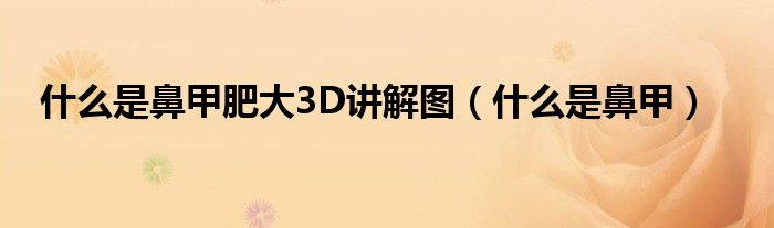什么是鼻甲肥大3D講解圖（什么是鼻甲）