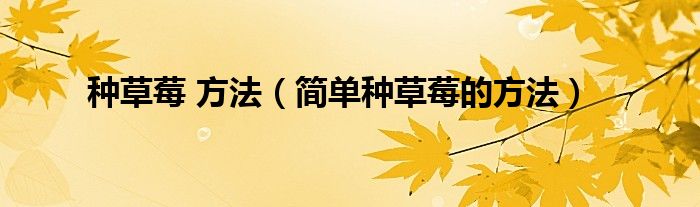 種草莓 方法（簡單種草莓的方法）