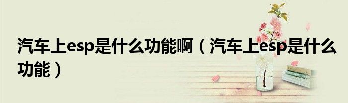汽車上esp是什么功能?。ㄆ嚿蟚sp是什么功能）
