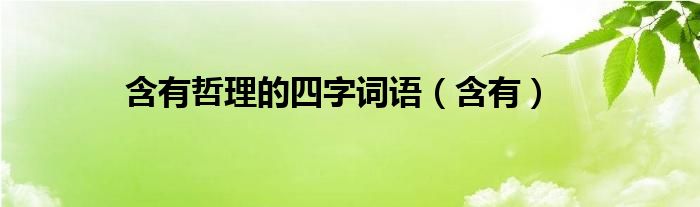 含有哲理的四字詞語(yǔ)（含有）