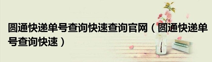圓通快遞單號查詢快速查詢官網(wǎng)（圓通快遞單號查詢快速）