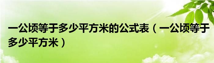 一公頃等于多少平方米的公式表（一公頃等于多少平方米）