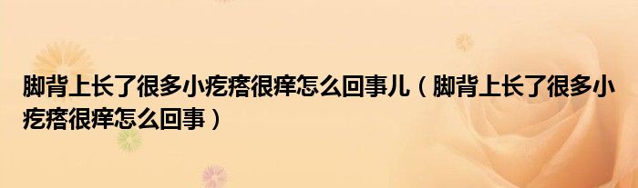 腳背上長(zhǎng)了很多小疙瘩很癢怎么回事兒（腳背上長(zhǎng)了很多小疙瘩很癢怎么回事）