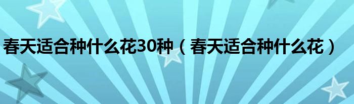 春天適合種什么花30種（春天適合種什么花）