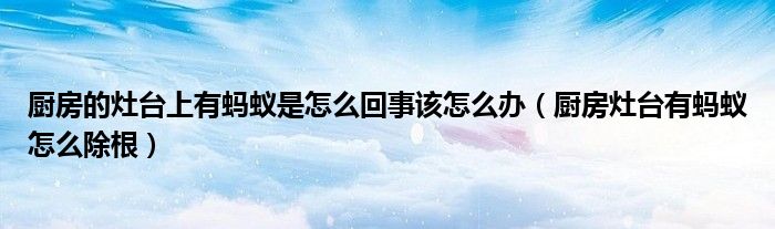 廚房的灶臺上有螞蟻是怎么回事該怎么辦（廚房灶臺有螞蟻怎么除根）