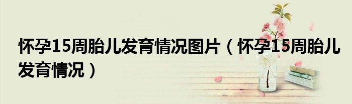 懷孕15周胎兒發(fā)育情況圖片（懷孕15周胎兒發(fā)育情況）
