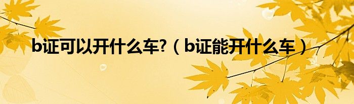 b證可以開什么車?（b證能開什么車）