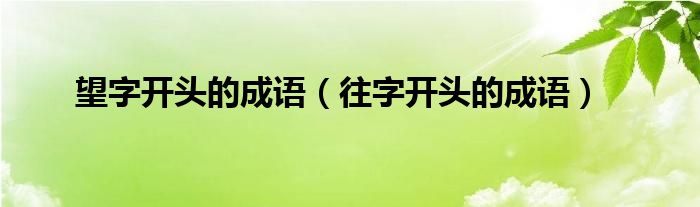 望字開頭的成語（往字開頭的成語）