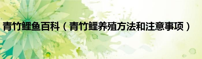 青竹鯉魚百科（青竹鯉養(yǎng)殖方法和注意事項）