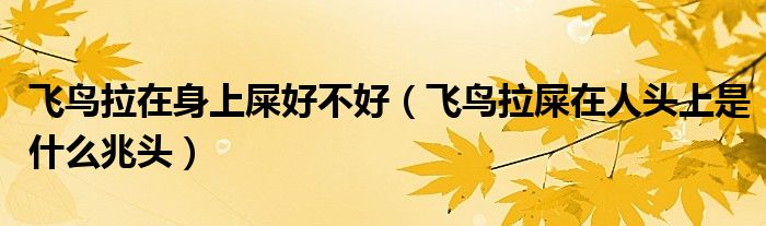 飛鳥(niǎo)拉在身上屎好不好（飛鳥(niǎo)拉屎在人頭上是什么兆頭）