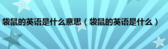 袋鼠的英語是什么意思（袋鼠的英語是什么）