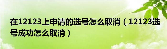 在12123上申請的選號(hào)怎么取消（12123選號(hào)成功怎么取消）