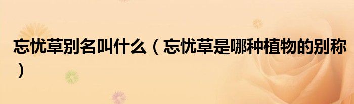 忘憂草別名叫什么（忘憂草是哪種植物的別稱）