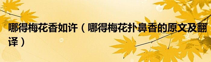 哪得梅花香如許（哪得梅花撲鼻香的原文及翻譯）