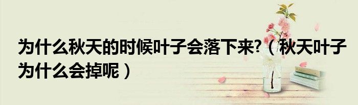 為什么秋天的時(shí)候葉子會(huì)落下來(lái)?（秋天葉子為什么會(huì)掉呢）