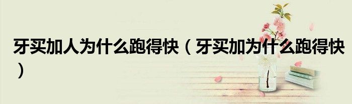 牙買加人為什么跑得快（牙買加為什么跑得快）