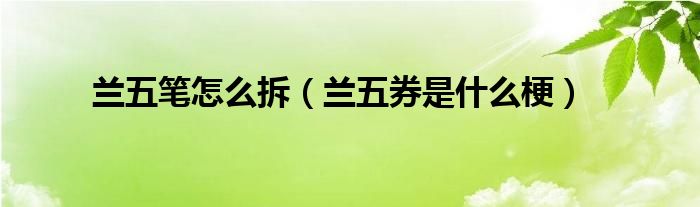 蘭五筆怎么拆（蘭五券是什么梗）