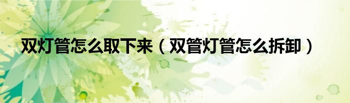 雙燈管怎么取下來（雙管燈管怎么拆卸）