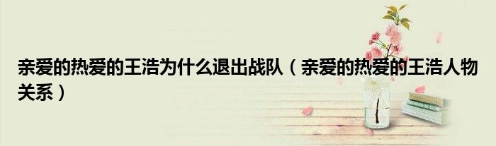 親愛的熱愛的王浩為什么退出戰(zhàn)隊（親愛的熱愛的王浩人物關系）