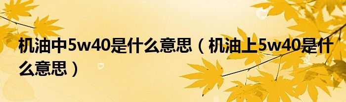 機(jī)油中5w40是什么意思（機(jī)油上5w40是什么意思）