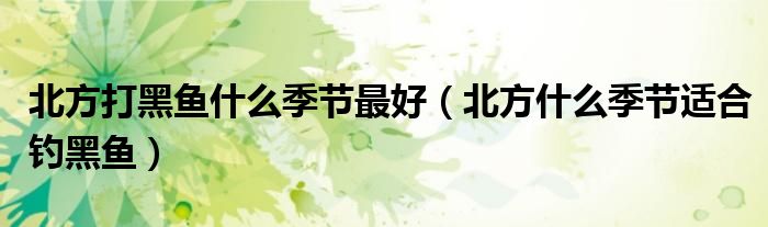 北方打黑魚什么季節(jié)最好（北方什么季節(jié)適合釣黑魚）