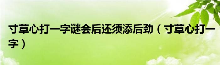寸草心打一字謎會后還須添后勁（寸草心打一字）