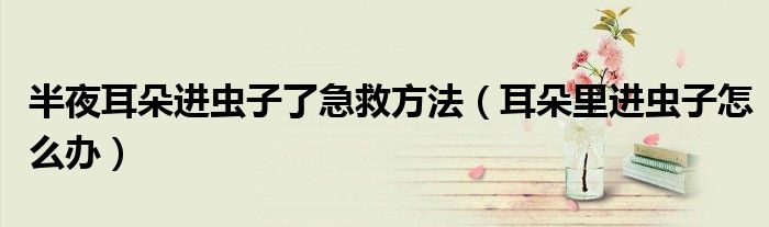 半夜耳朵進(jìn)蟲子了急救方法（耳朵里進(jìn)蟲子怎么辦）