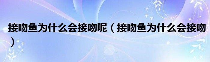 接吻魚為什么會接吻呢（接吻魚為什么會接吻）