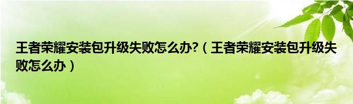 王者榮耀安裝包升級(jí)失敗怎么辦?（王者榮耀安裝包升級(jí)失敗怎么辦）