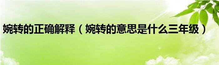 婉轉(zhuǎn)的正確解釋（婉轉(zhuǎn)的意思是什么三年級）