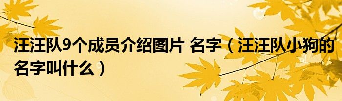 汪汪隊(duì)9個(gè)成員介紹圖片 名字（汪汪隊(duì)小狗的名字叫什么）