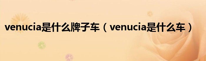 venucia是什么牌子車（venucia是什么車）
