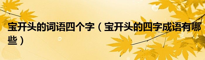 寶開頭的詞語四個字（寶開頭的四字成語有哪些）